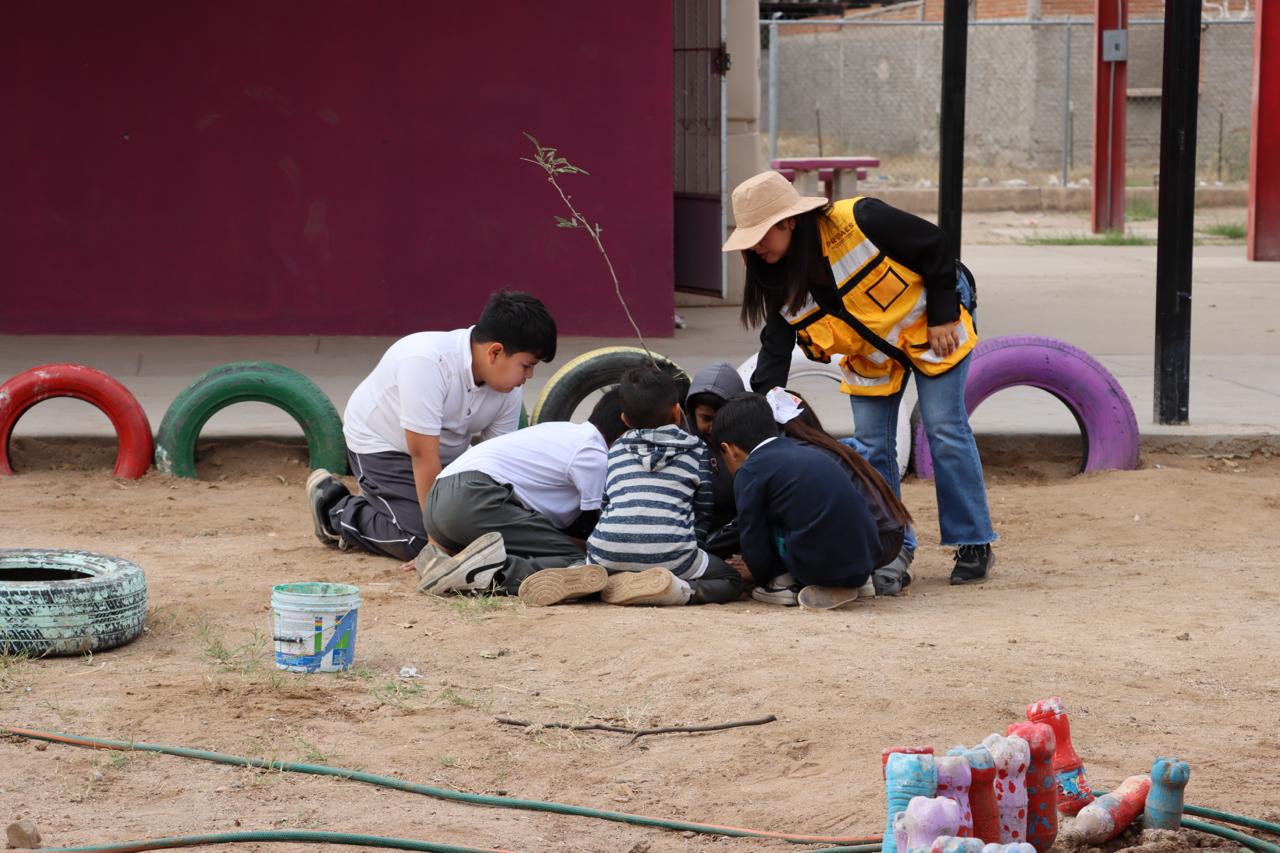 Realizamos una jornada de arborización en la Escuela Primaria 