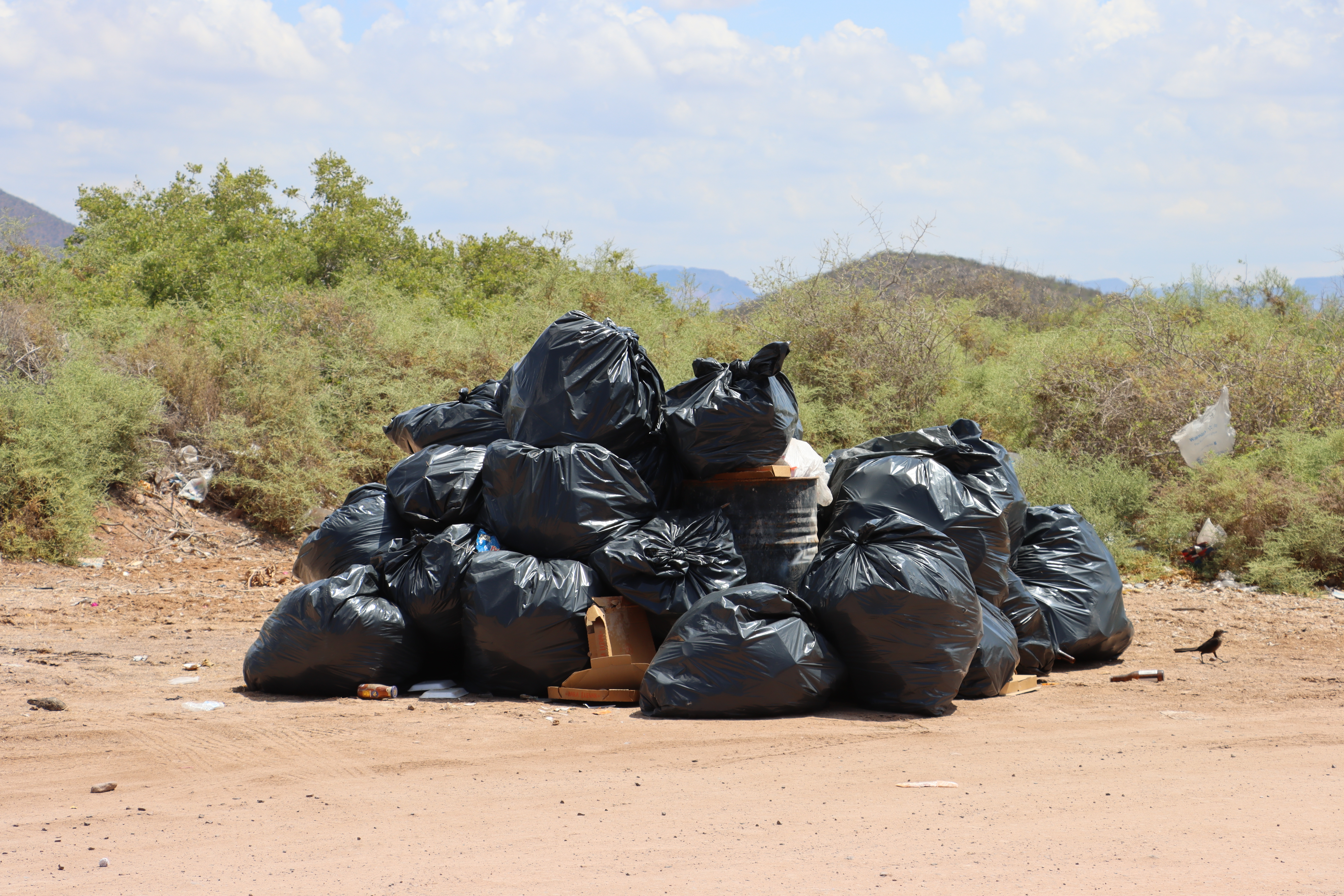 Limpieza playa Bahía Delfín
