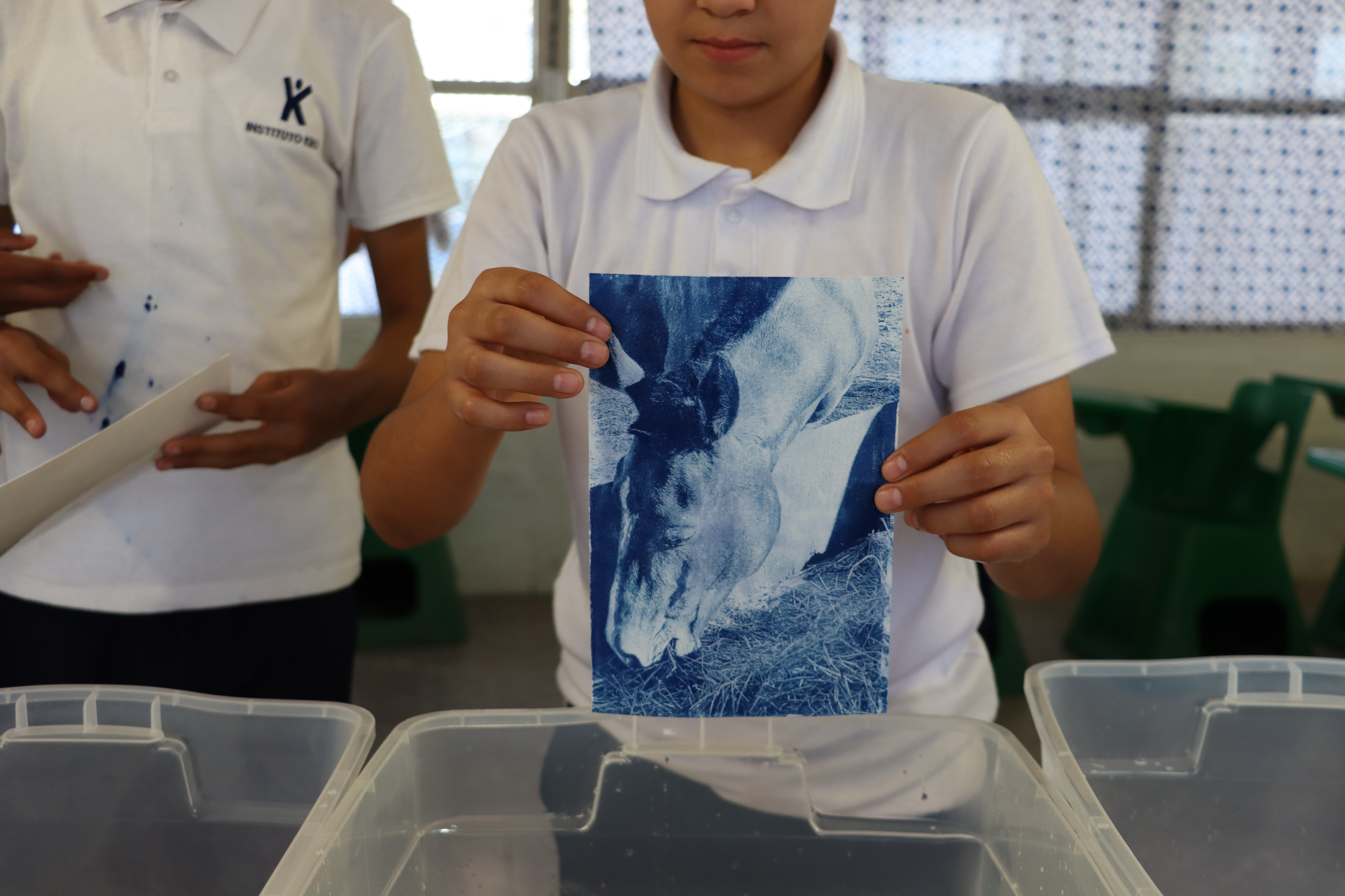 Taller de Cianotipia con Imágenes de la Naturaleza de Sonora