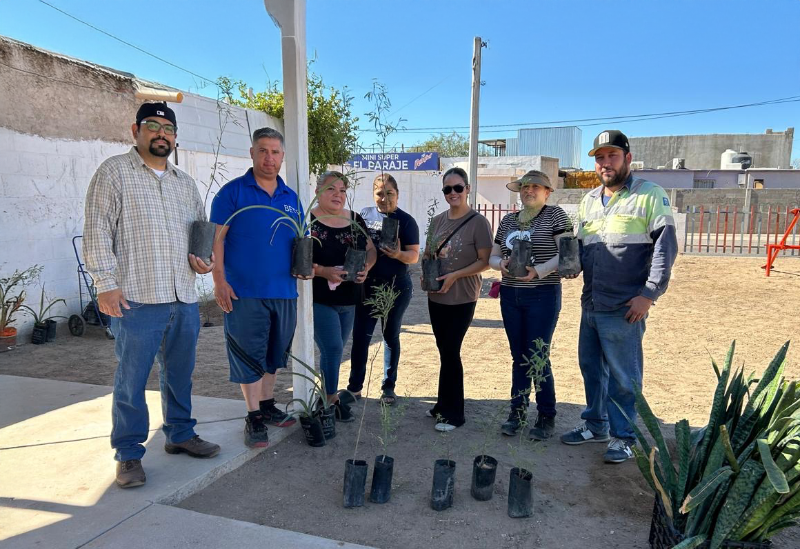 Arborizamos Gala Residencial 