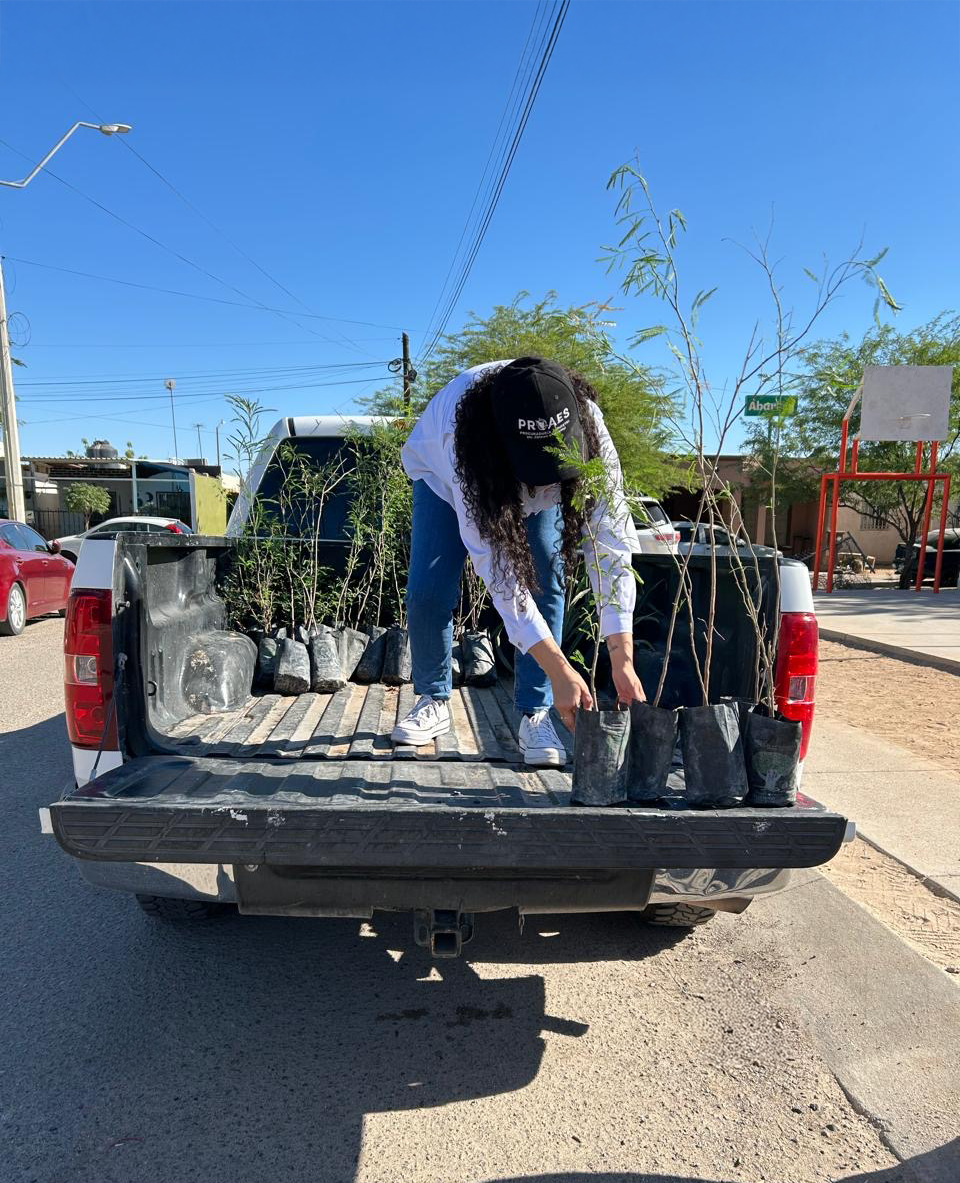 Arborizamos Gala Residencial 